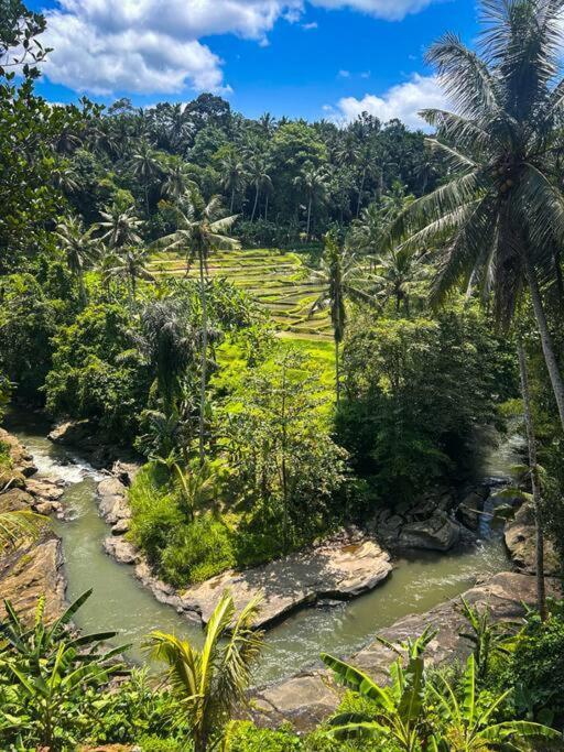 Ubud Riverside Villa Экстерьер фото