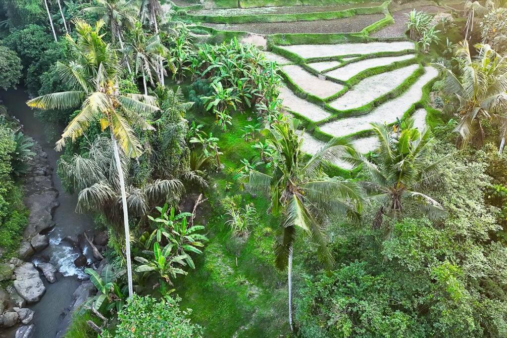 Ubud Riverside Villa Экстерьер фото
